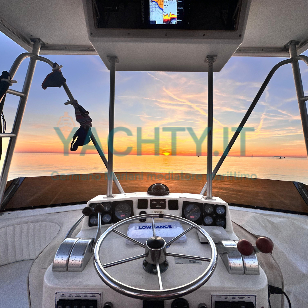Albemarle 32' Fly