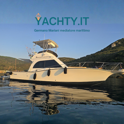 Albemarle 32' Fly