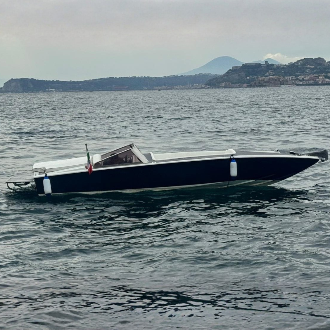 GAGLIOTTA CARAIBI