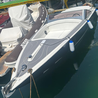 GAGLIOTTA CARAIBI