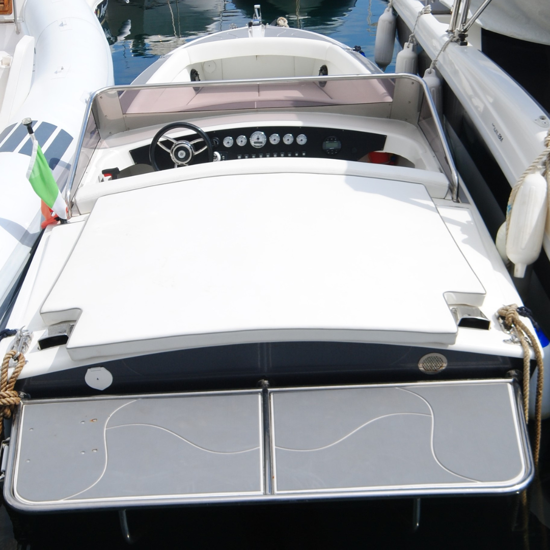 GAGLIOTTA CARAIBI