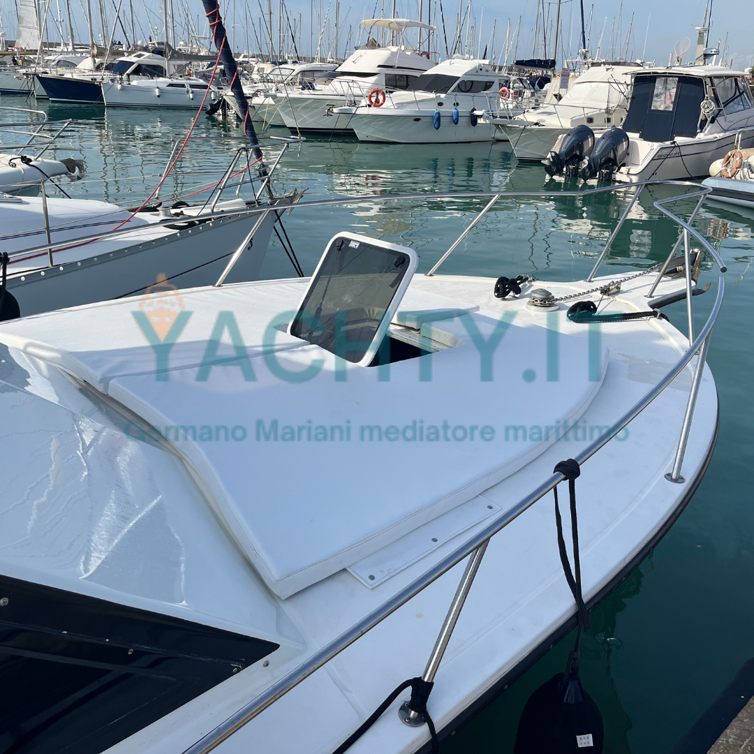 Albemarle 32' Fly