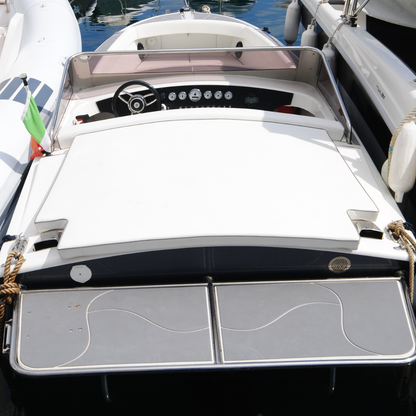 GAGLIOTTA CARAIBI
