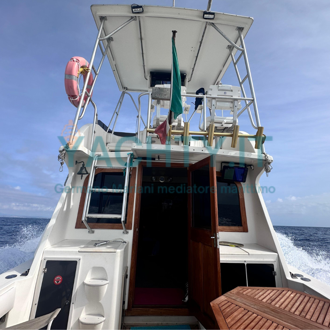 Albemarle 32' Fly